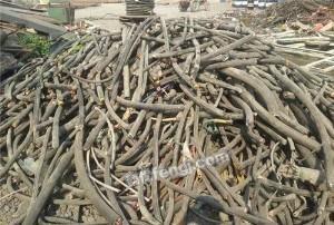 废电缆线锡线高价回收-东泰物资回收